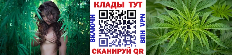 Купить закладку Галлюциногенные грибы  Метамфетамин  Амфетамин  Меф мяу мяу  Cocaine  А ПВП  ГАШИШ  Конопля  Бабаево