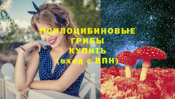 бошки Кулебаки