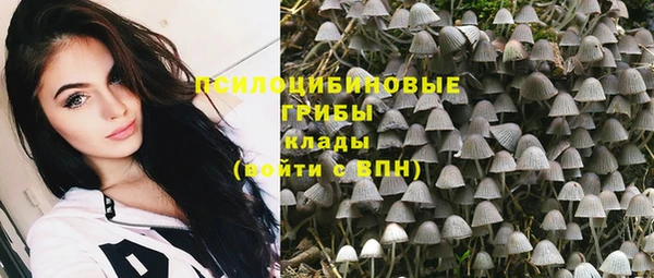 не бодяженный Куйбышев