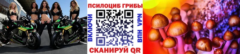 Купить где  Бабаево  Галлюциногенные грибы мухоморы 