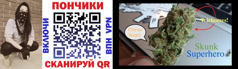 Купить закладки  Бабаево  Конопля планчик 
